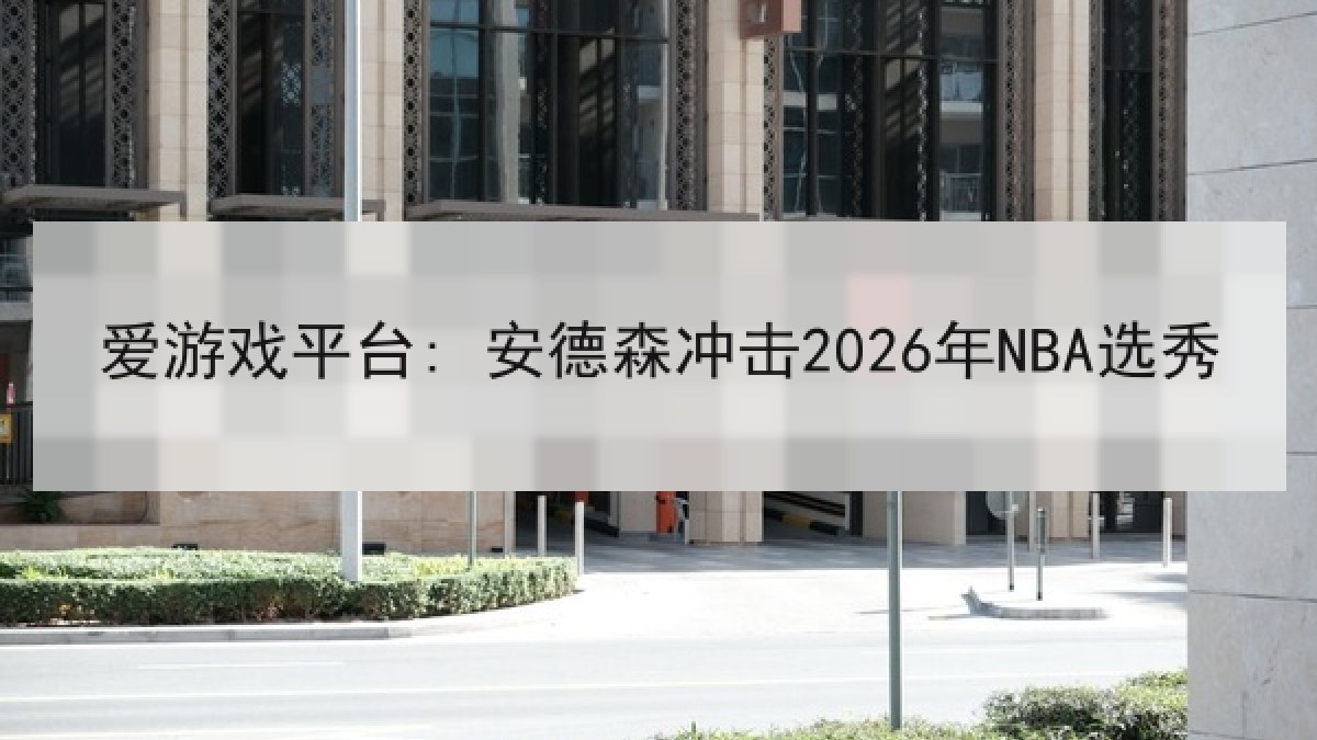 爱游戏平台: 安德森冲击2026年NBA选秀