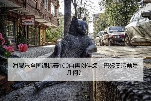 潘展乐全国锦标赛100自再创佳绩，巴黎奥运前景几何？